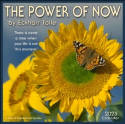 Cover image of book The Power of Now 2025 Wall Calendar: A Year of Inspirational Quotes by Eckhart Tolle